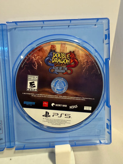 Double Dragon Gaiden Rise of the Dragons
