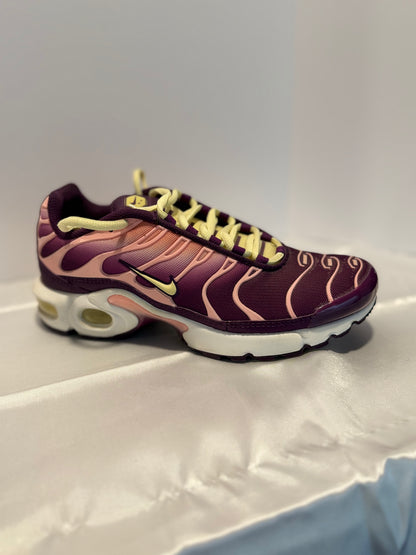 Nike Air Max Plus TN Tuned Los “Lucky Charms”