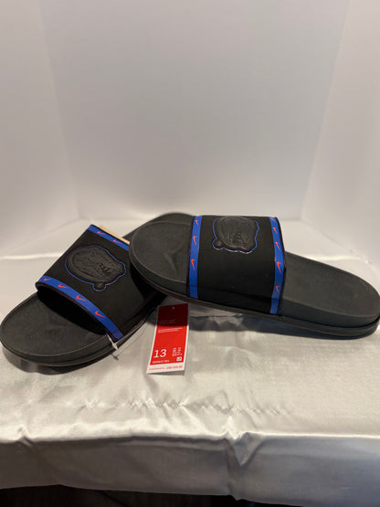 Florida Gator - Off Court Slid