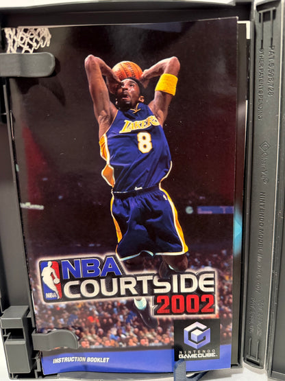 NBA Curtsied 2002